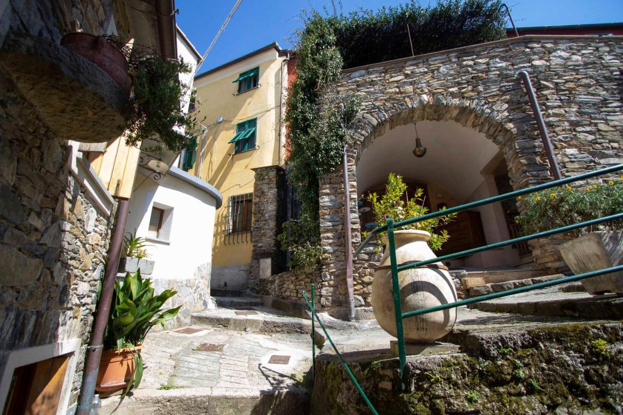 Le Case Di Petra Vignana Exterior photo